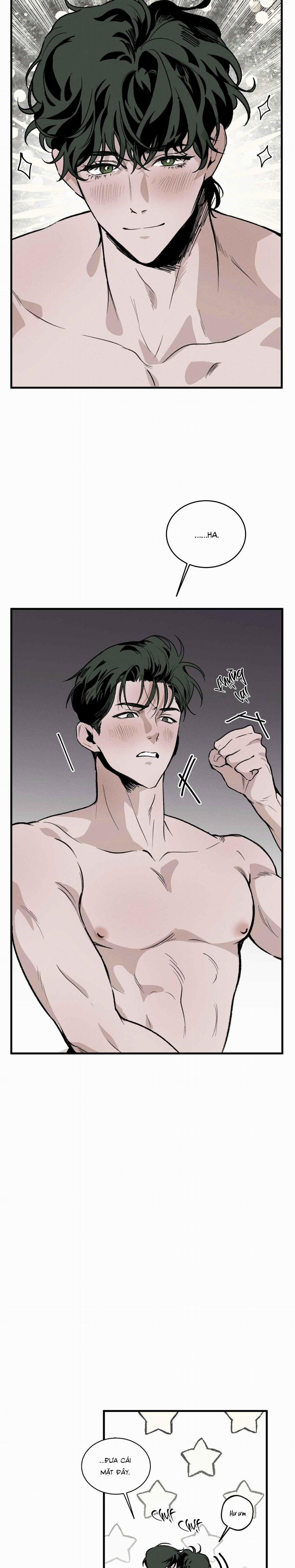 Cottage Garden 6 0 trang 31