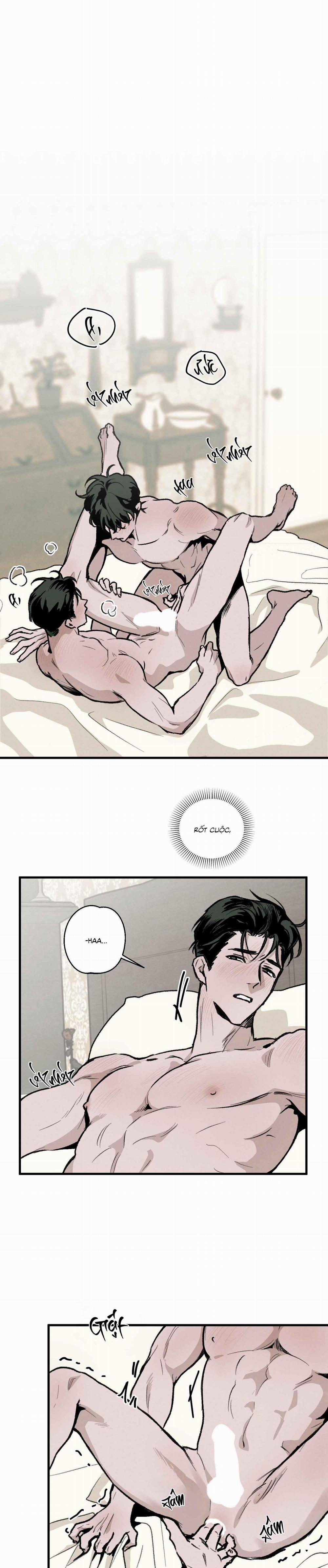 Cottage Garden 6 trang 22