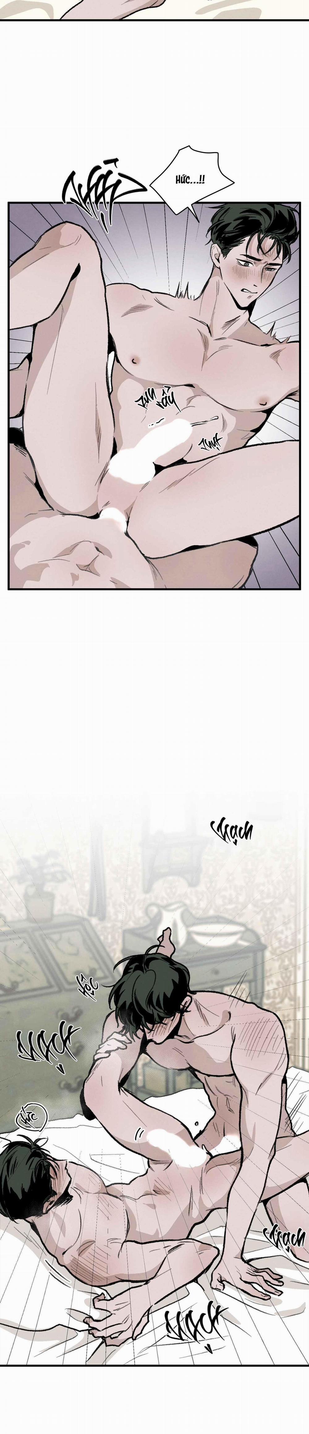 Cottage Garden 6 trang 25