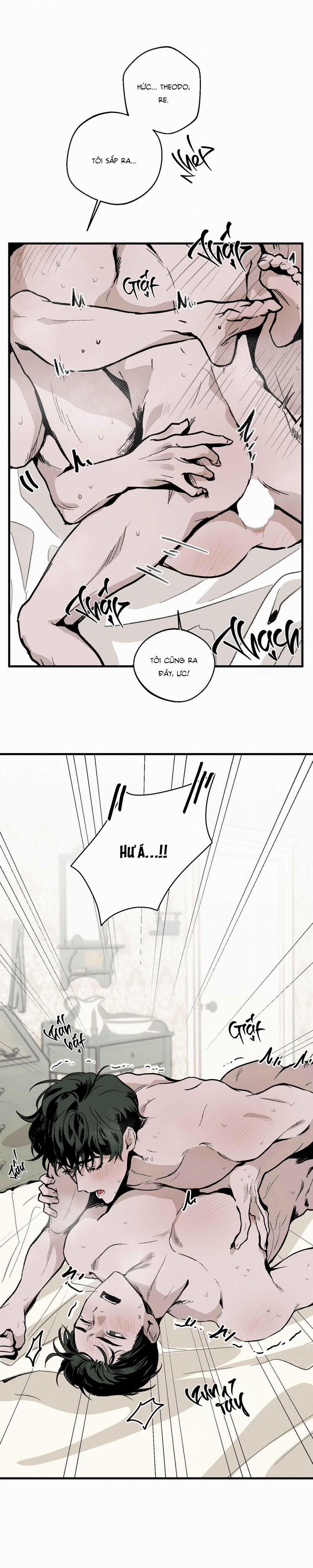 Cottage Garden 6 trang 28