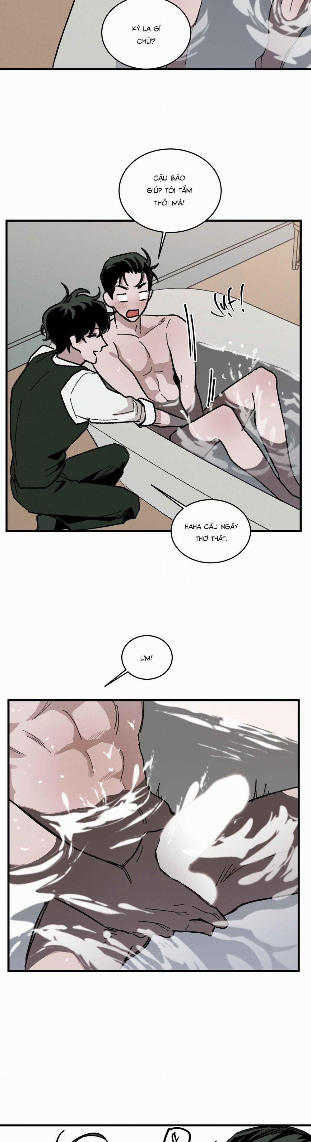 Cottage Garden 8 trang 17