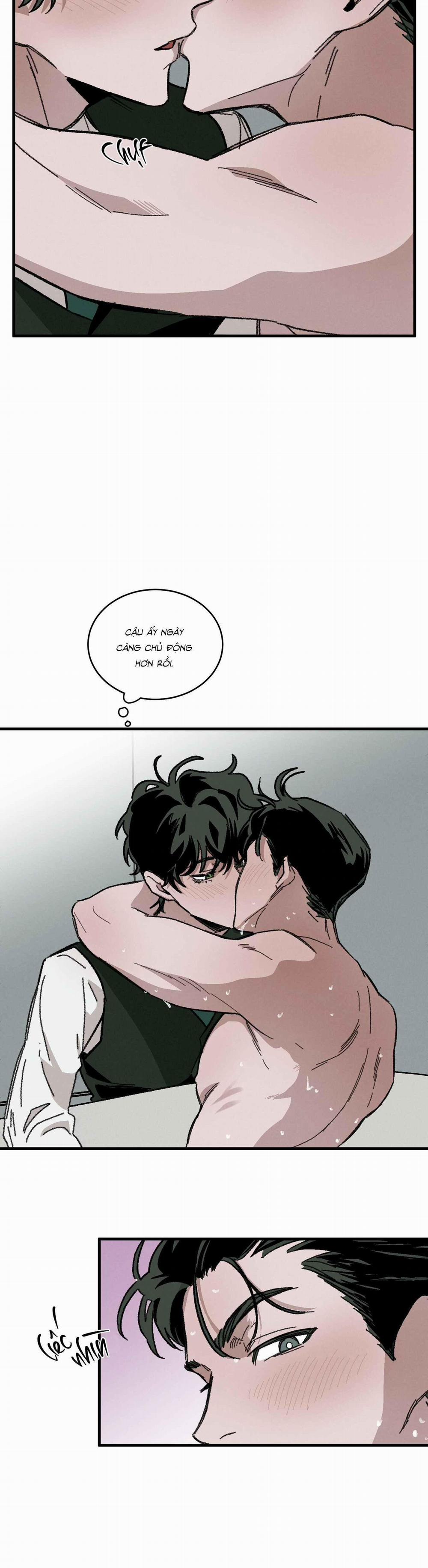 Cottage Garden 8 trang 19