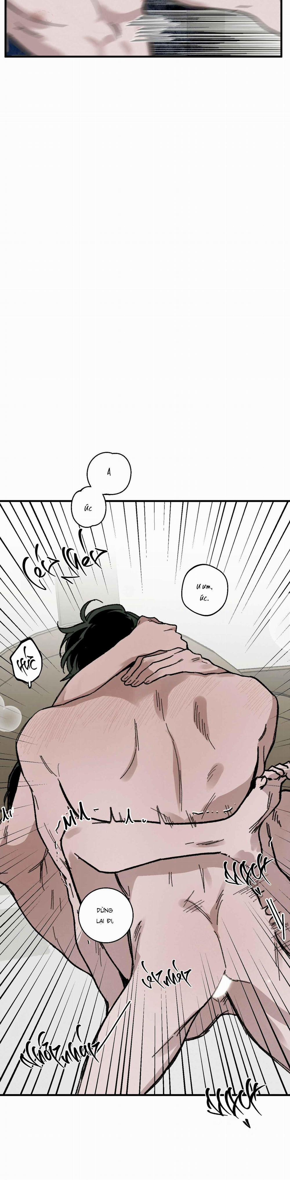 Cottage Garden 9 trang 7