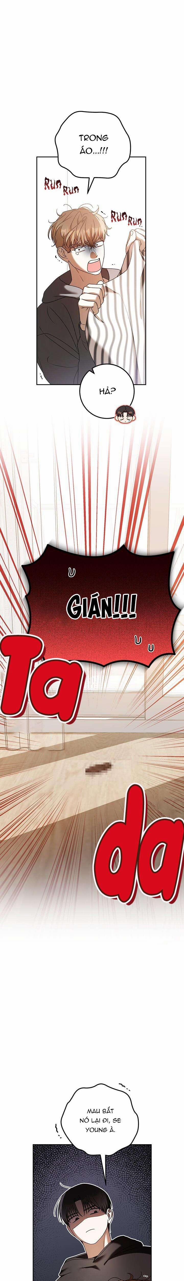 Cú Đấm Netkama 78 trang 15