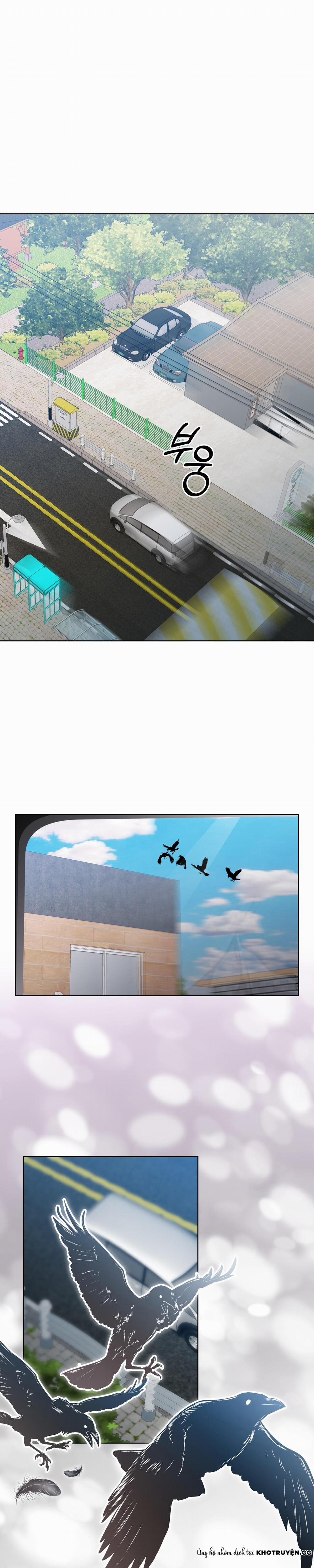 Cú Nổ 8 trang 8