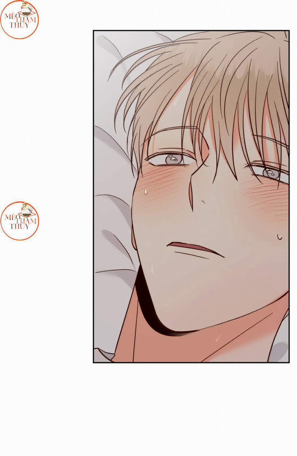 Cửa Hàng Tiện Lợi Nguy Hiểm 42 trang 19