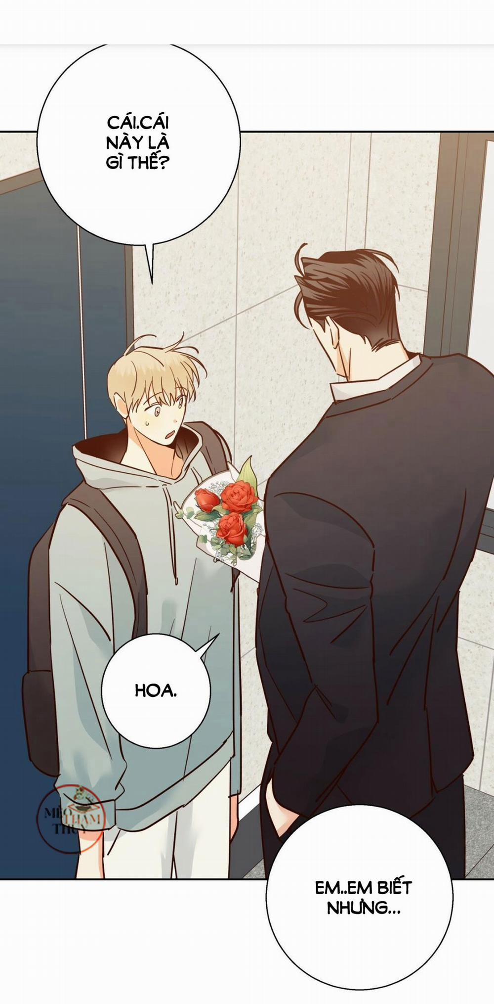 Cửa Hàng Tiện Lợi Nguy Hiểm 43 trang 15