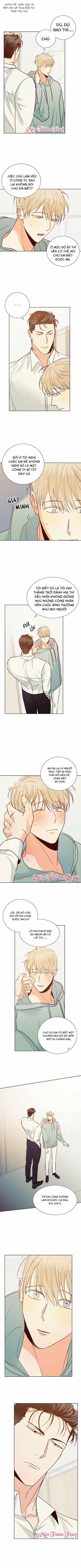 Cửa Hàng Tiện Lợi Nguy Hiểm 46 trang 0