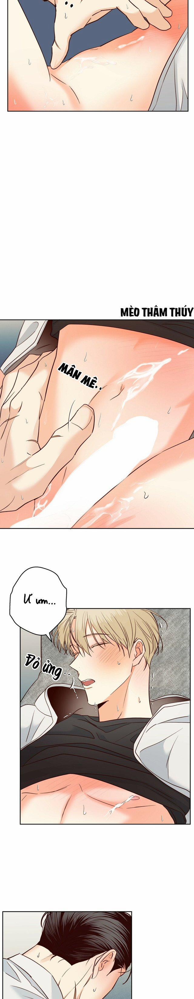 Cửa Hàng Tiện Lợi Nguy Hiểm 70 trang 24