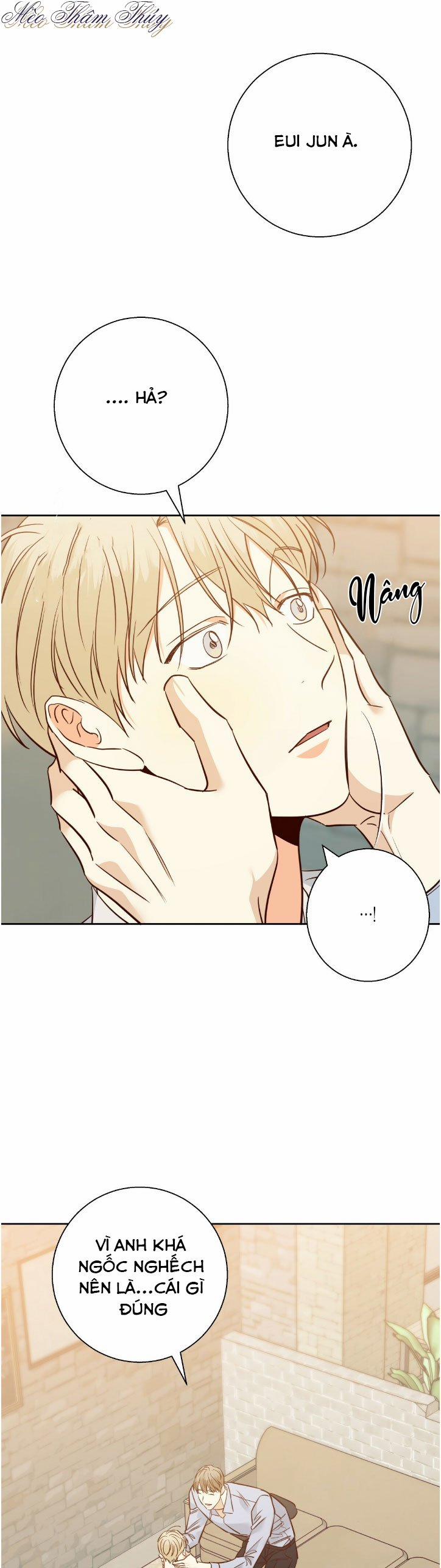 Cửa Hàng Tiện Lợi Nguy Hiểm 78 trang 16