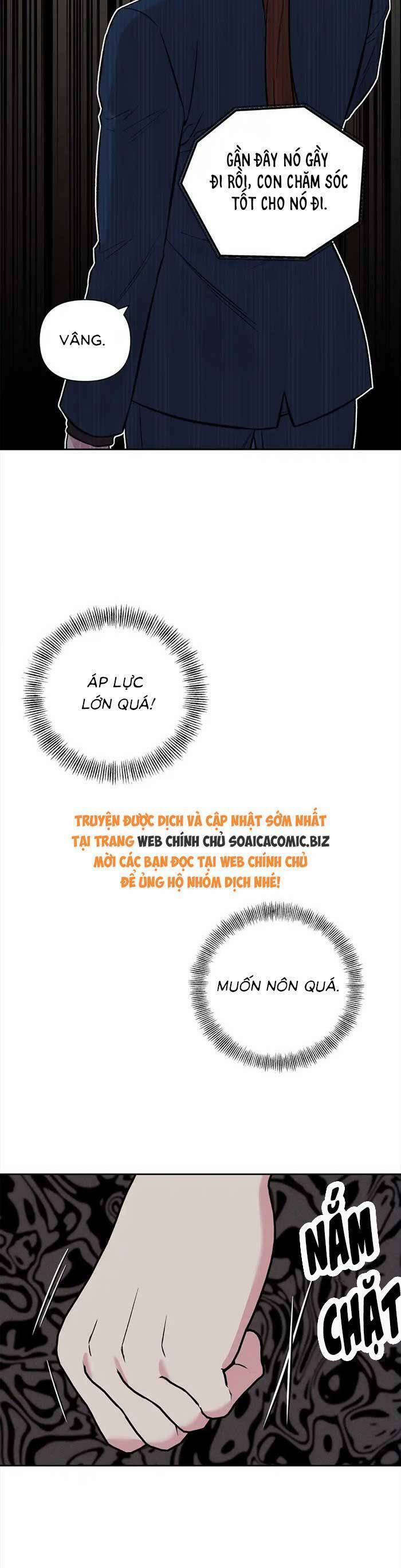 Cua Lại Vợ Yêu 11 trang 8