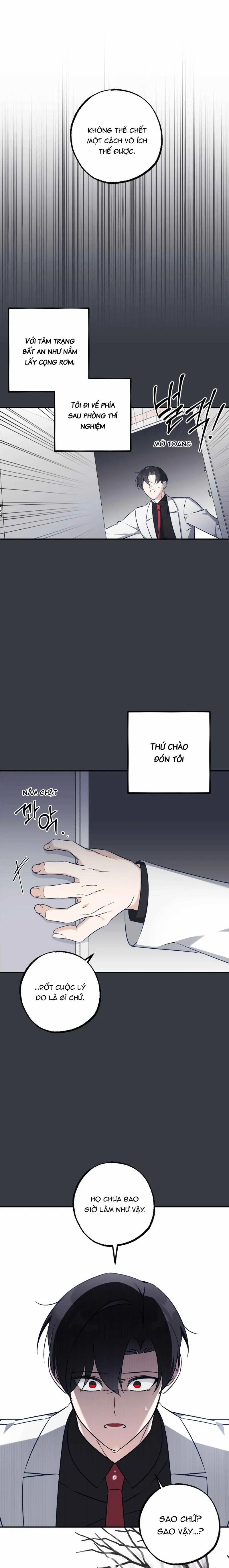 Cùm Chân Voi 3 trang 21