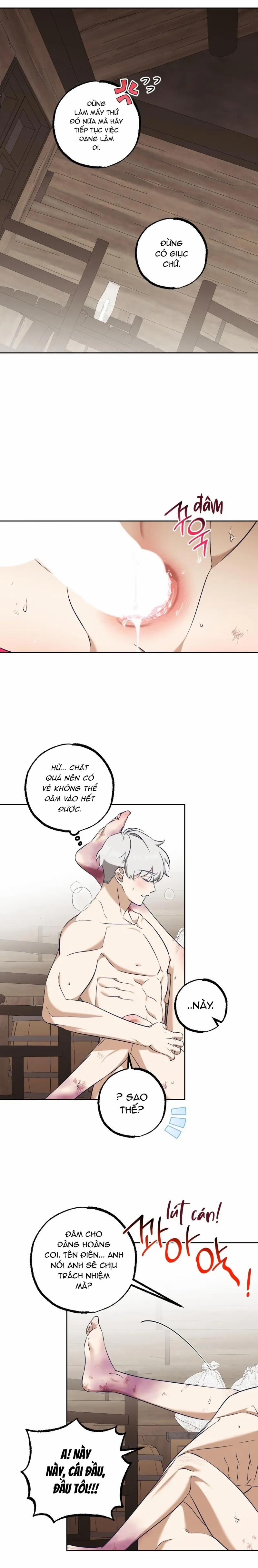 Cùm Chân Voi 5 trang 11