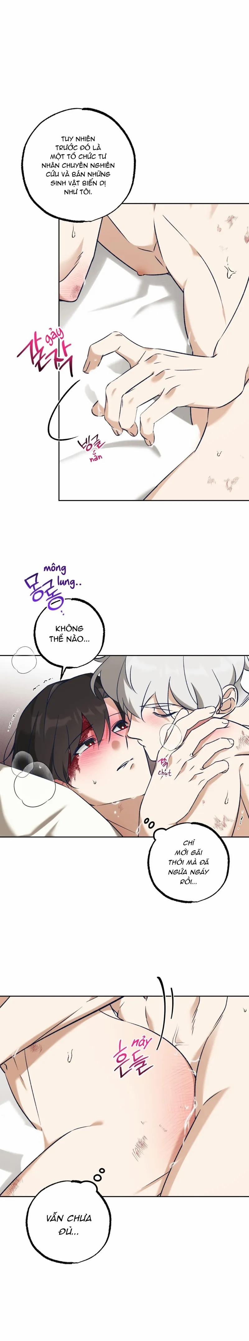 Cùm Chân Voi 5 trang 17