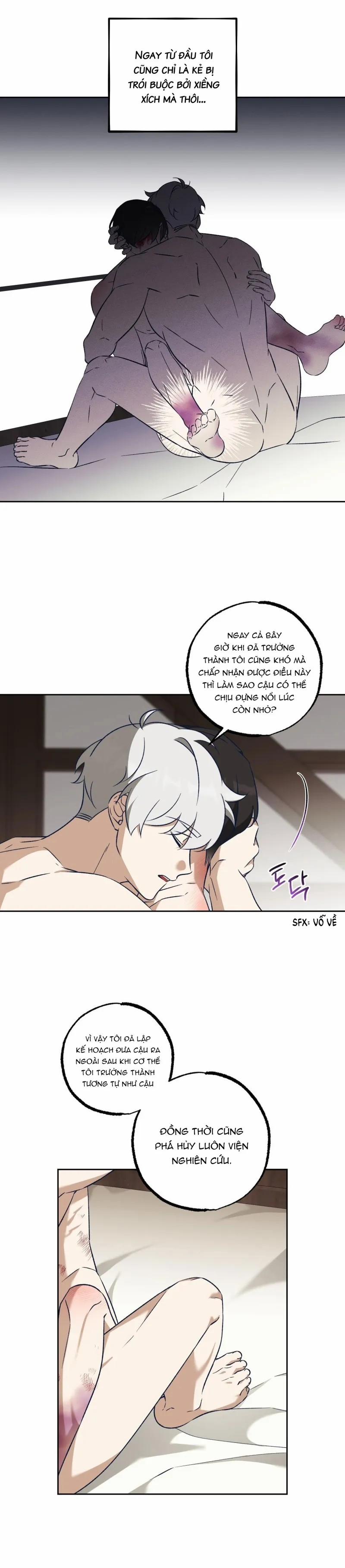 Cùm Chân Voi 6 trang 12