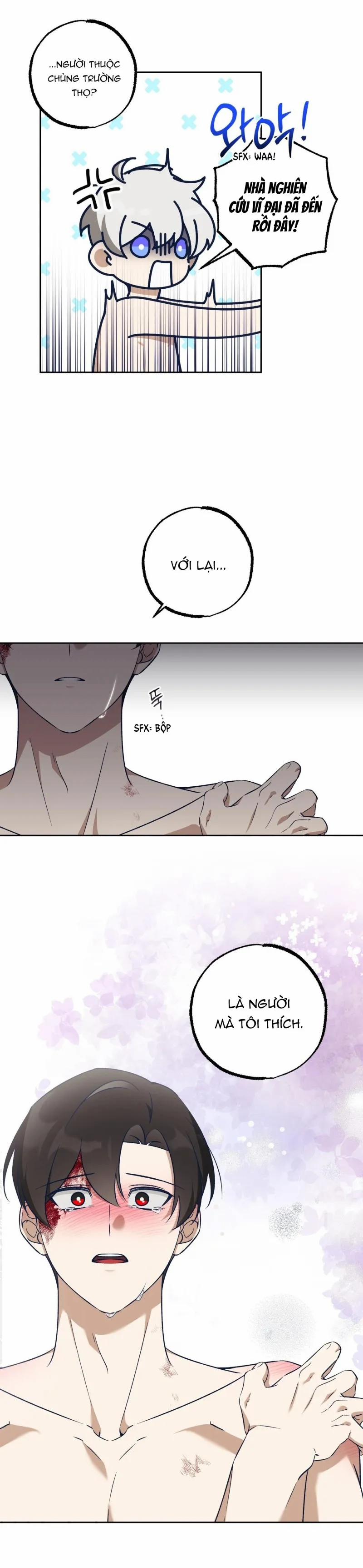 Cùm Chân Voi 6 trang 16