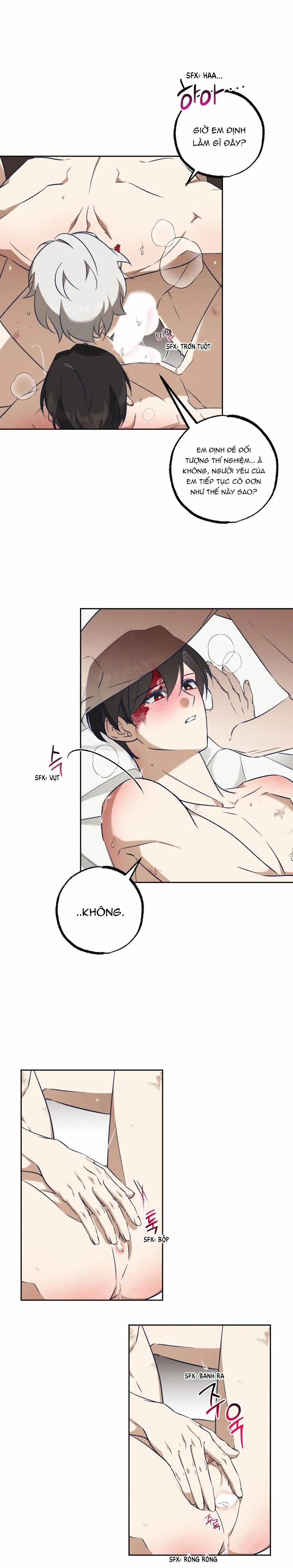 Cùm Chân Voi 6 trang 19