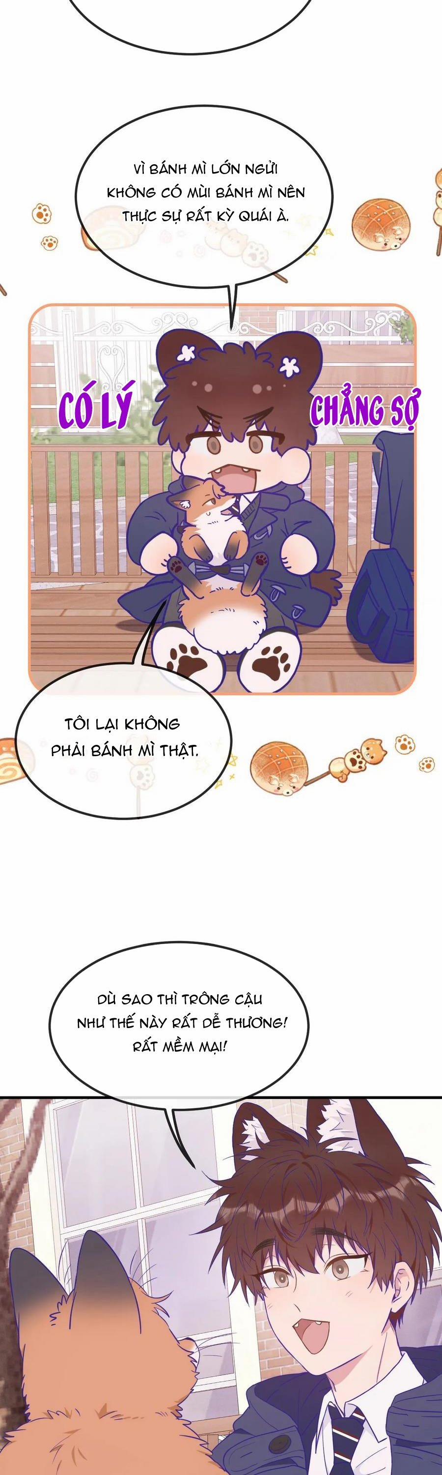 Cún Con Nói Dối Sẽ Bị Ăn Mất 33 trang 11