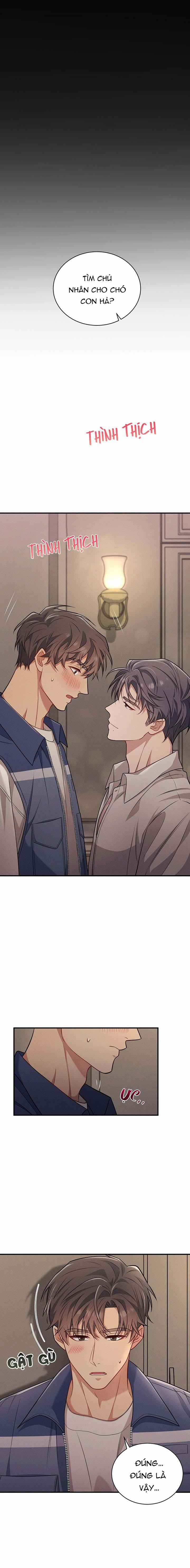 Cún Con Trung Thành 2 trang 0