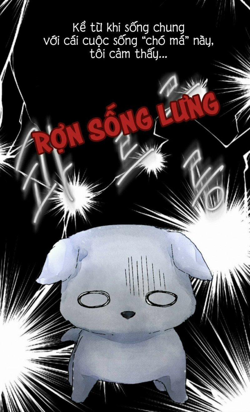 Cún Cưng Của Hoàng Đế 0 Prologue trang 19