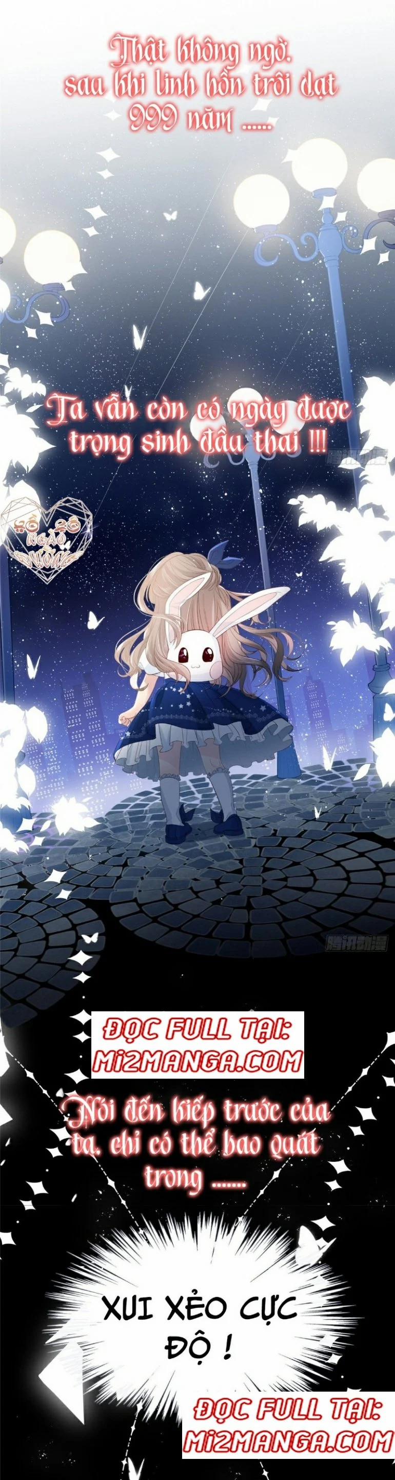 Cưng Chiều Đại Lão 3 Tuổi Rưỡi 1 trang 1