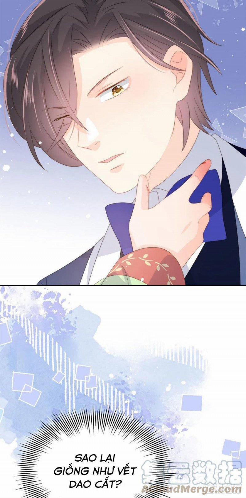 Cưng Chiều Đại Lão 3 Tuổi Rưỡi 102 trang 4