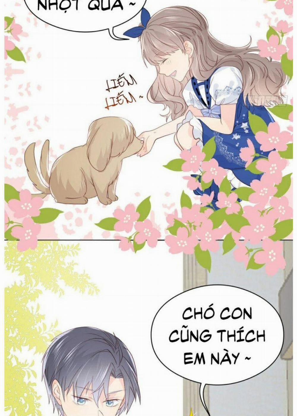 Cưng Chiều Đại Lão 3 Tuổi Rưỡi 12 trang 17