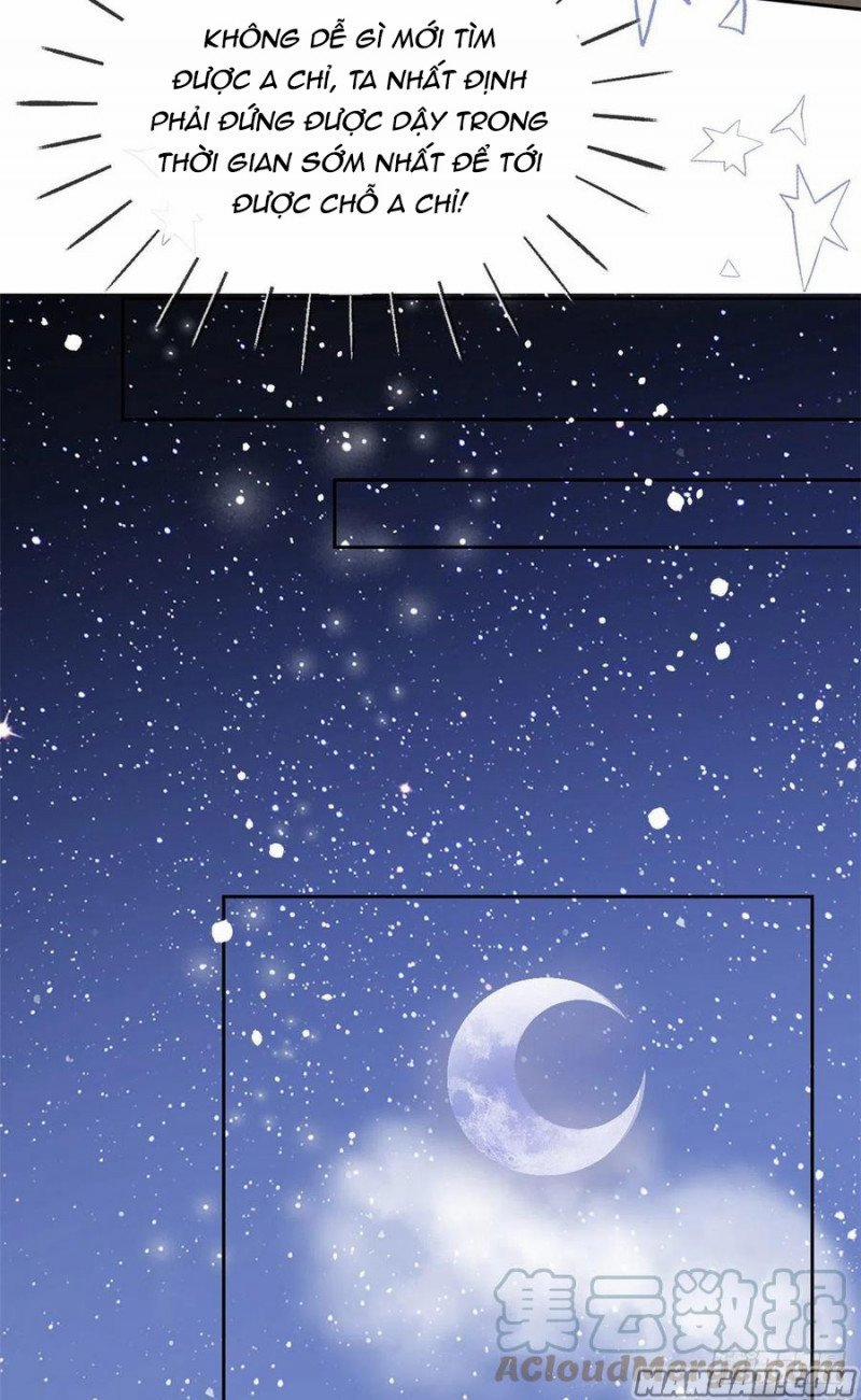 Cưng Chiều Đại Lão 3 Tuổi Rưỡi 139 trang 11