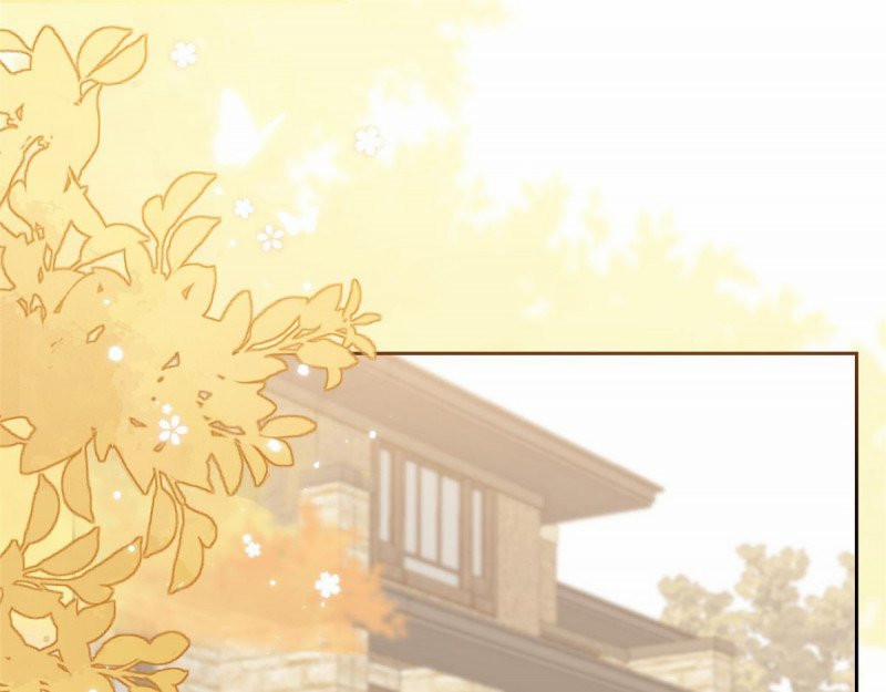 Cưng Chiều Đại Lão 3 Tuổi Rưỡi 162 trang 0