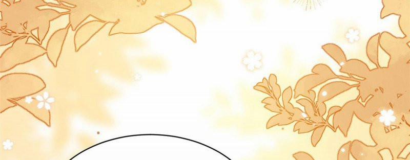 Cưng Chiều Đại Lão 3 Tuổi Rưỡi 162 trang 17