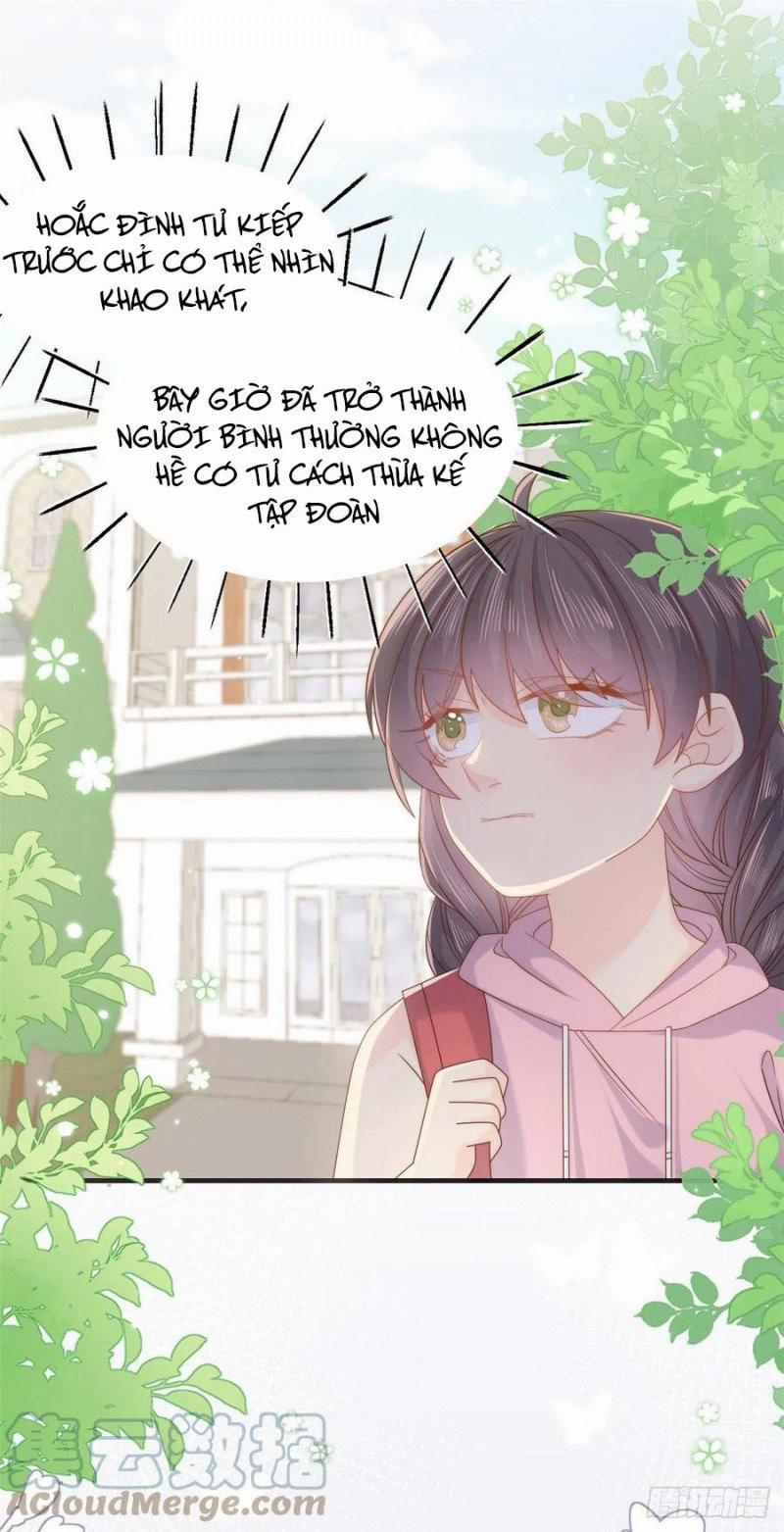 Cưng Chiều Đại Lão 3 Tuổi Rưỡi 164 trang 10