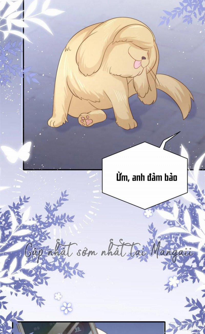 Cưng Chiều Đại Lão 3 Tuổi Rưỡi 171 trang 6