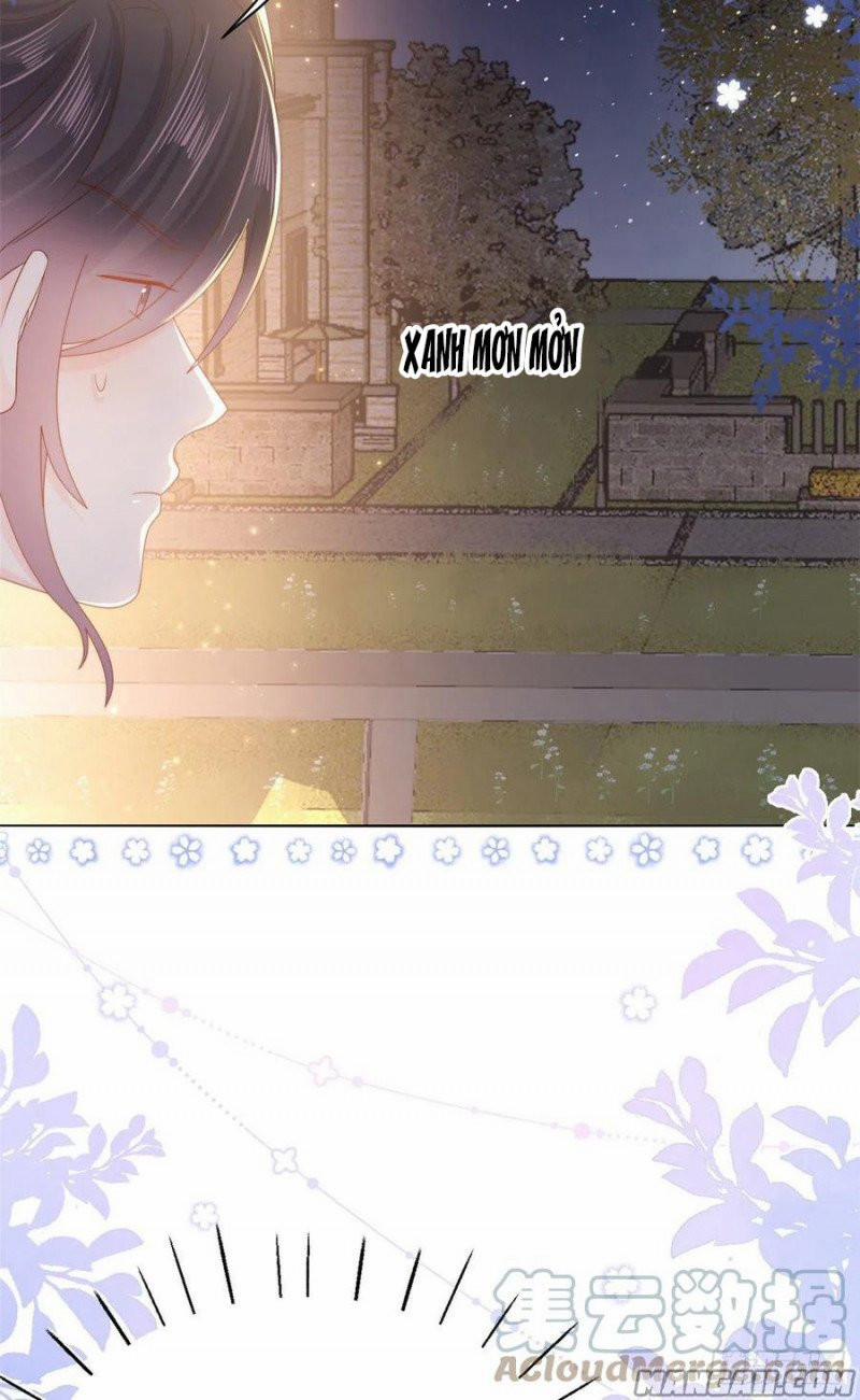 Cưng Chiều Đại Lão 3 Tuổi Rưỡi 172 trang 4