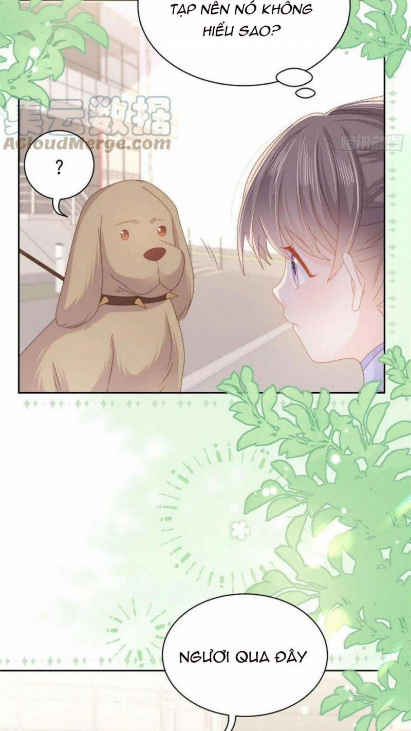 Cưng Chiều Đại Lão 3 Tuổi Rưỡi 181 trang 12