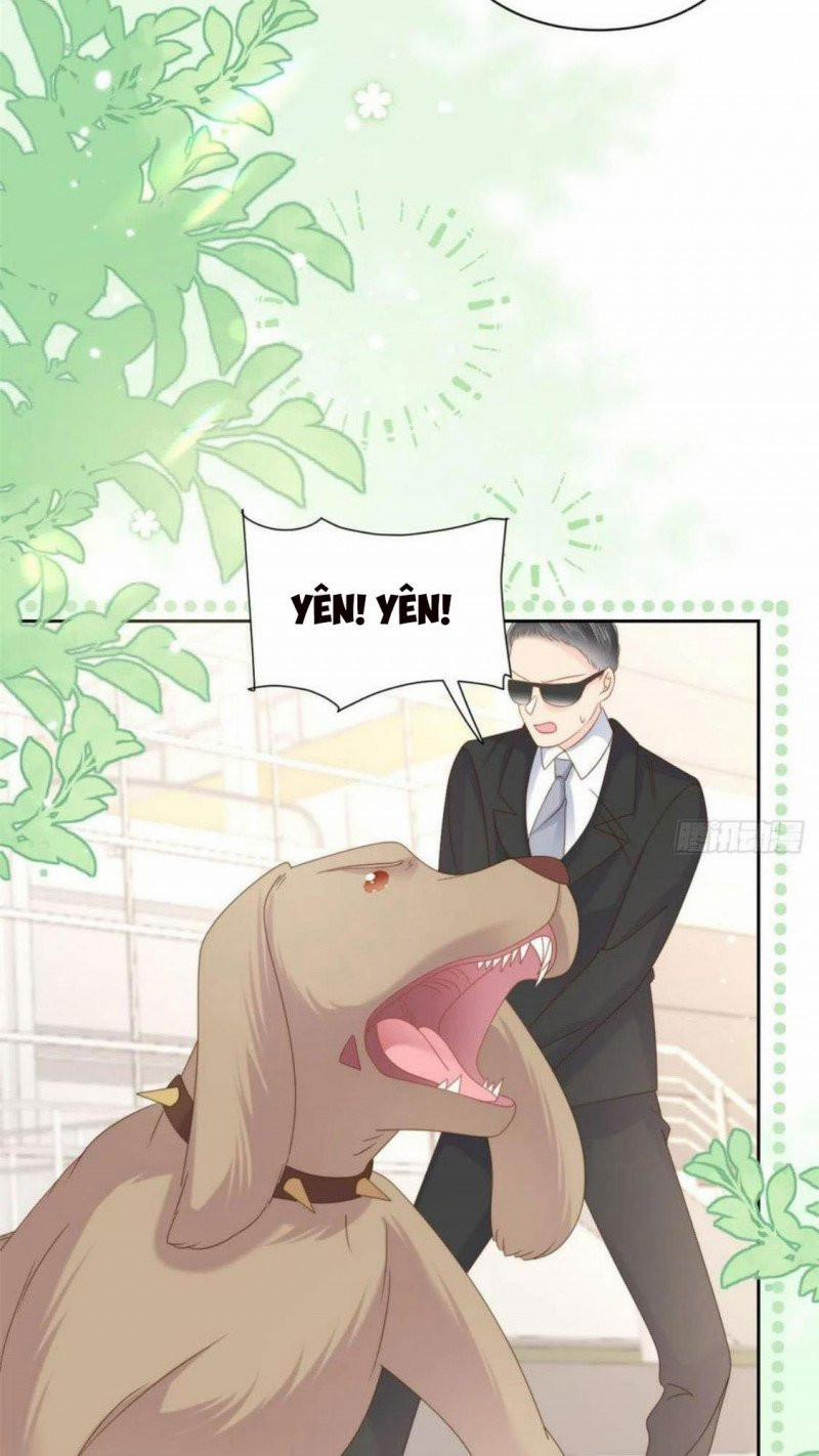 Cưng Chiều Đại Lão 3 Tuổi Rưỡi 181 trang 15