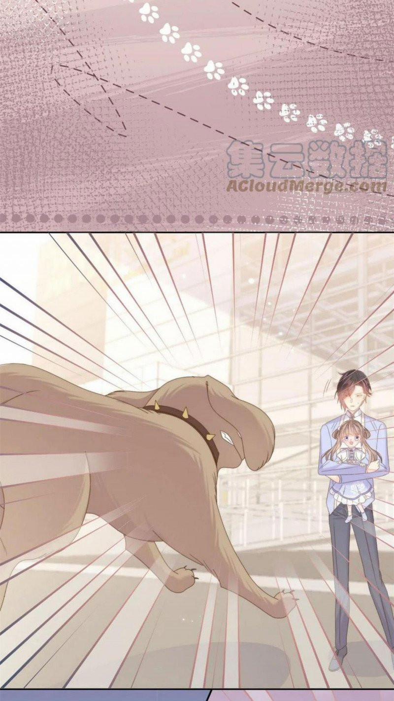 Cưng Chiều Đại Lão 3 Tuổi Rưỡi 181 trang 17