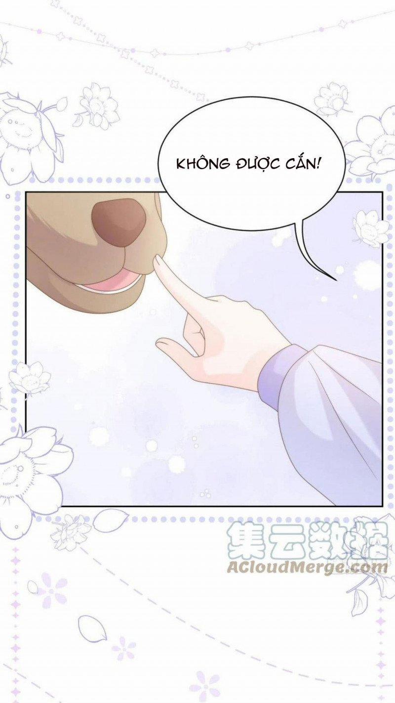 Cưng Chiều Đại Lão 3 Tuổi Rưỡi 181 trang 19