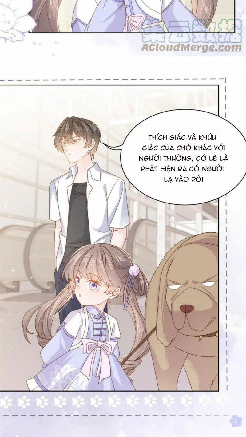 Cưng Chiều Đại Lão 3 Tuổi Rưỡi 181 trang 6