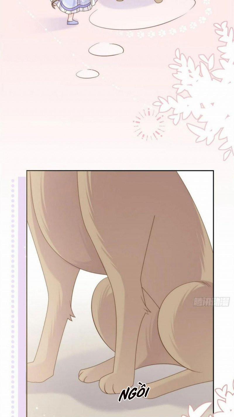 Cưng Chiều Đại Lão 3 Tuổi Rưỡi 182 trang 17