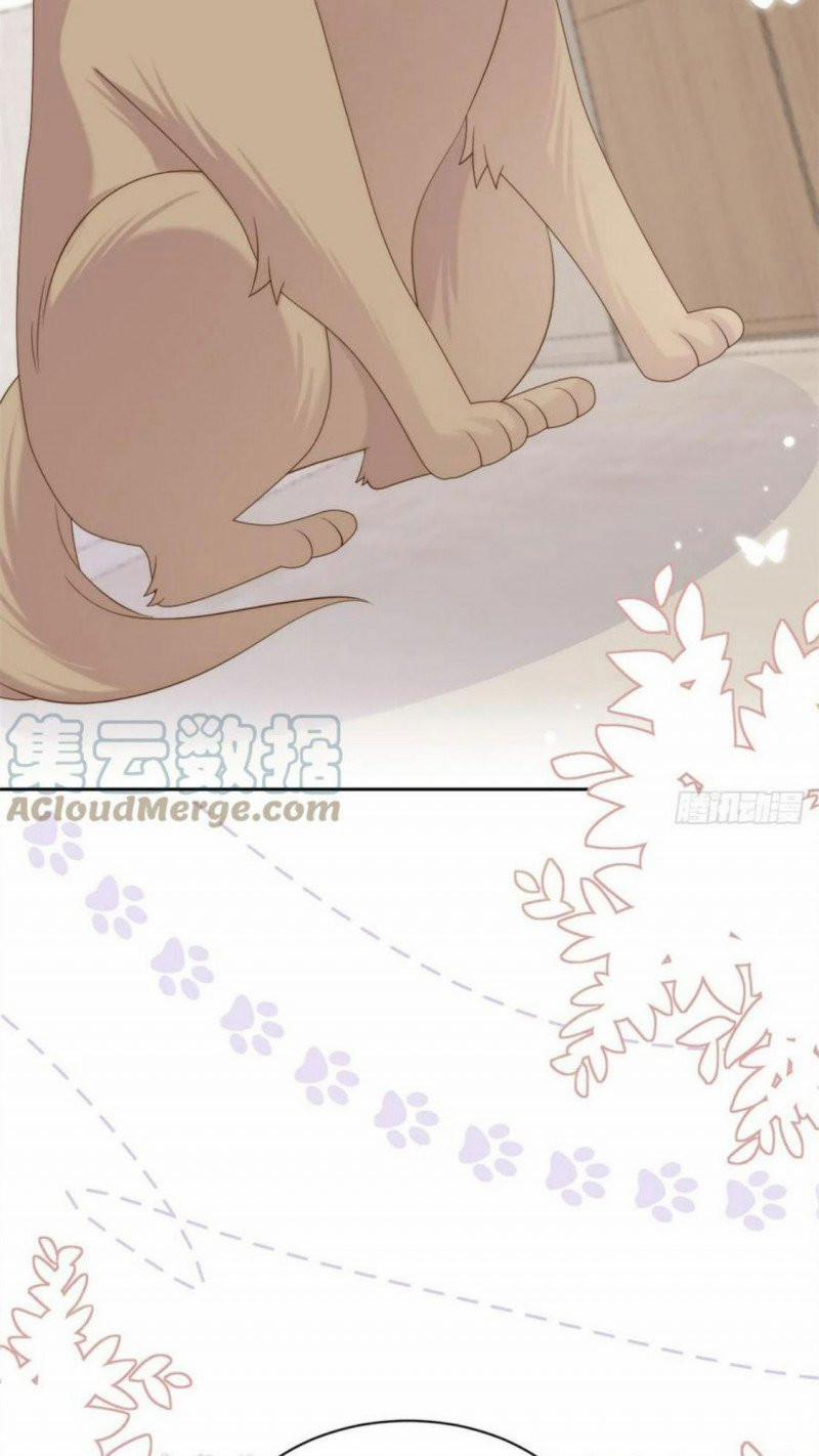 Cưng Chiều Đại Lão 3 Tuổi Rưỡi 182 trang 19