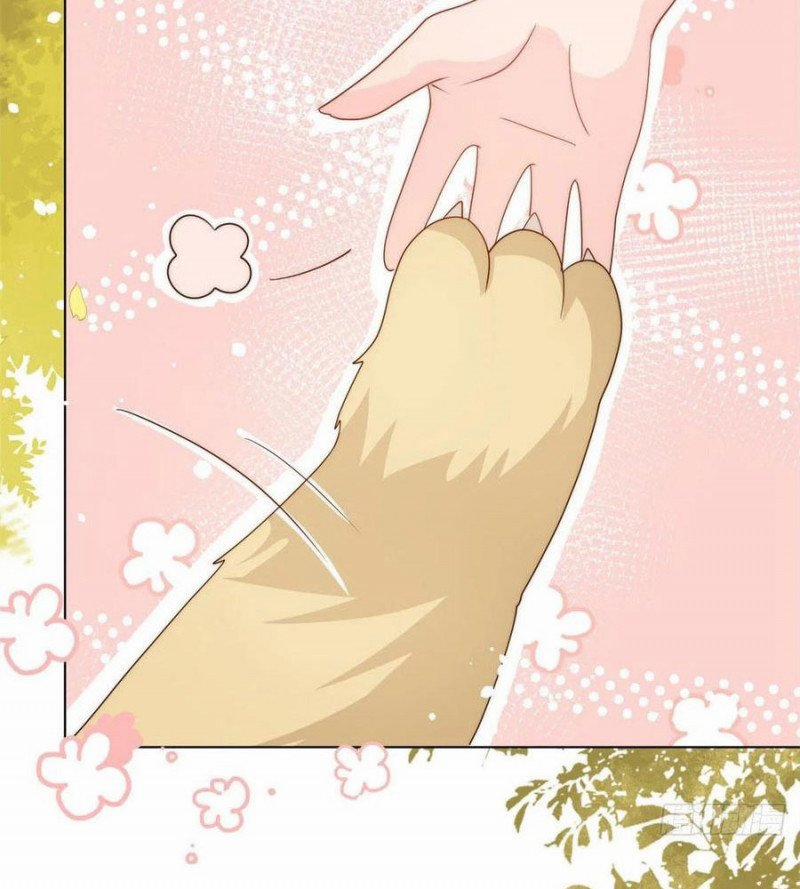 Cưng Chiều Đại Lão 3 Tuổi Rưỡi 76 trang 1