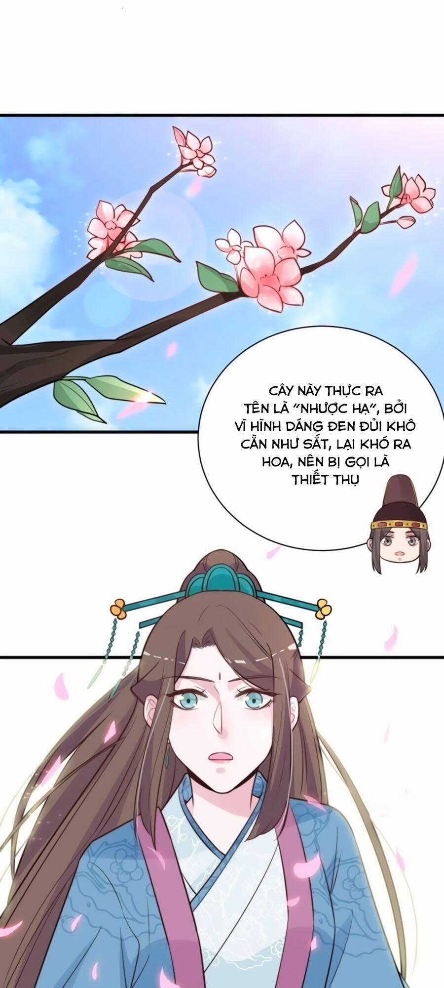 Cung Đấu Live 44 trang 37