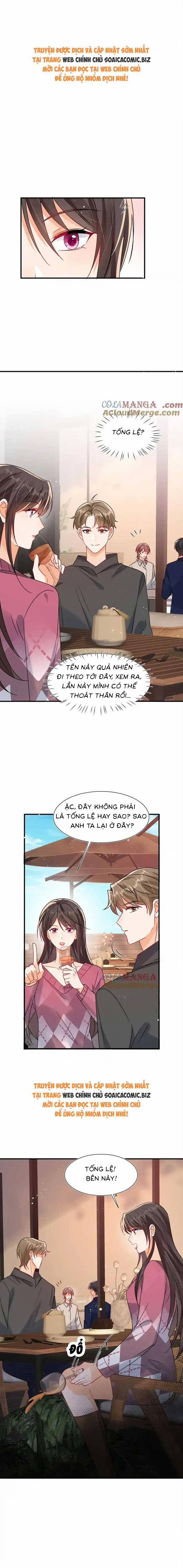 Cùng Lục Gia Yêu Đương Vụng Trộm 103 trang 0