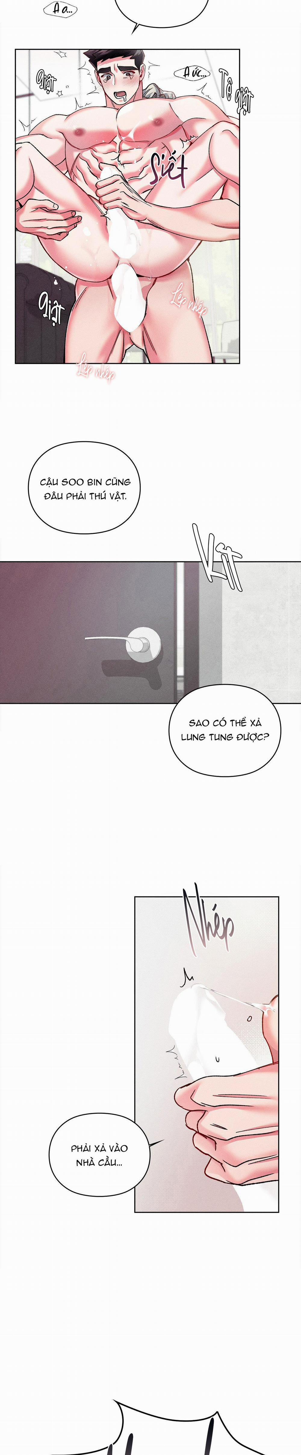 Cùng Nâng Tạ Nhé 10 trang 12