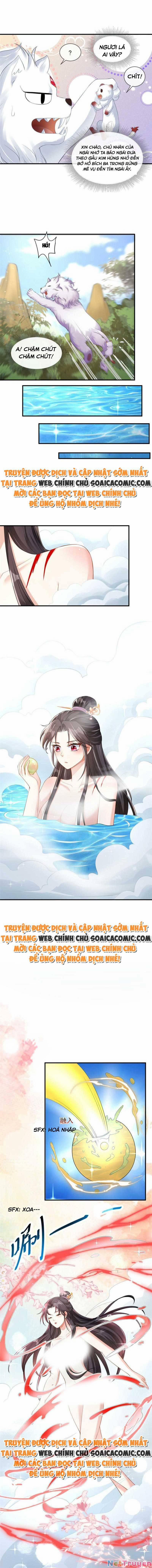 Cùng Ngự Thần Thú Báo Thù 49 trang 2