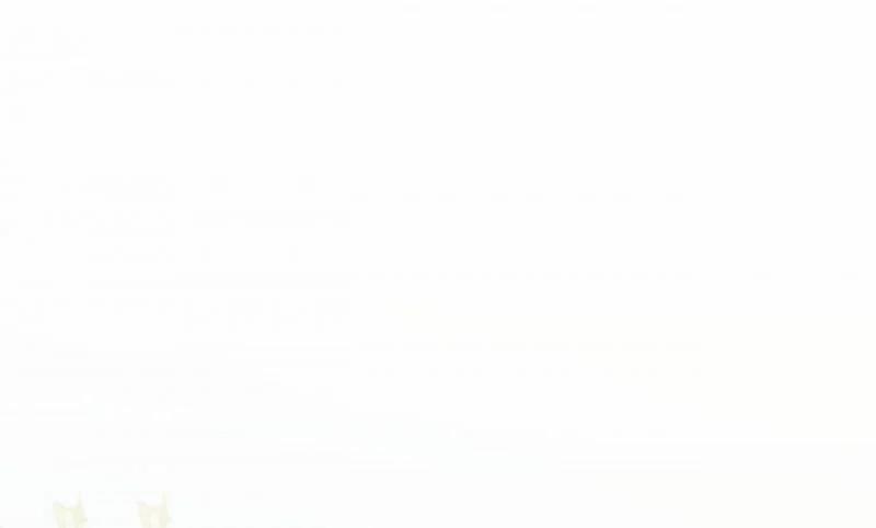 Cuộc Chiến Thăm Dò 2 trang 211