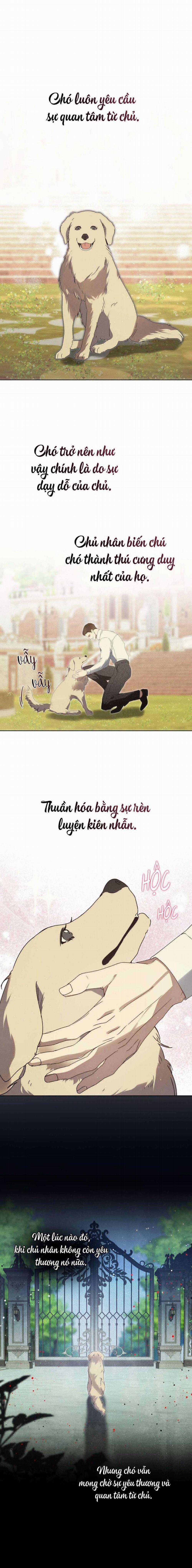 Cuộc Đời Bi Thảm 16 trang 10