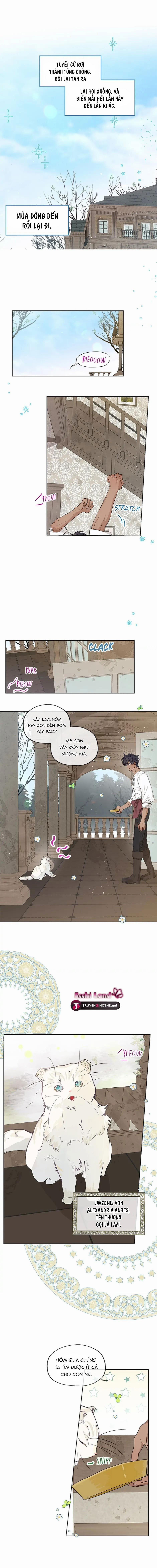 Cuộc Hôn Nhân Bất Đắc Dĩ Của Tôi 15.1 trang 1