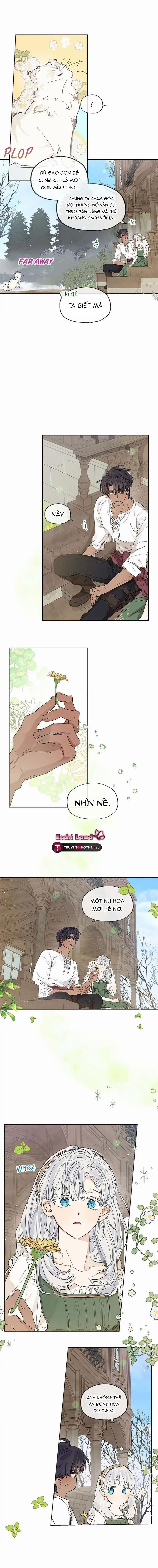 Cuộc Hôn Nhân Bất Đắc Dĩ Của Tôi 15.1 trang 4