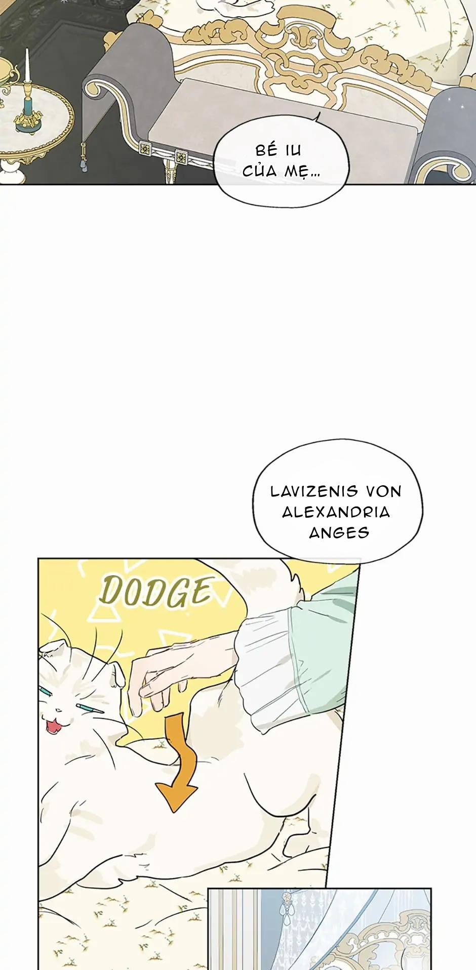 Cuộc Hôn Nhân Bất Đắc Dĩ Của Tôi 40.1 trang 12